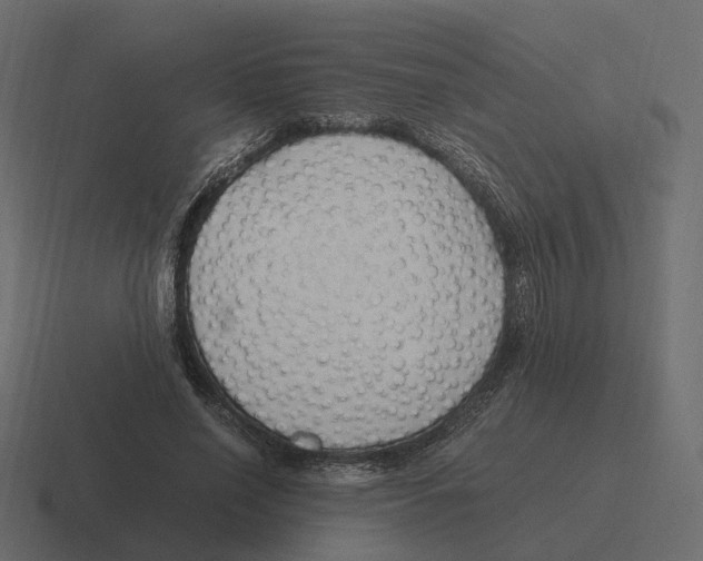 X0000116350638200912291632