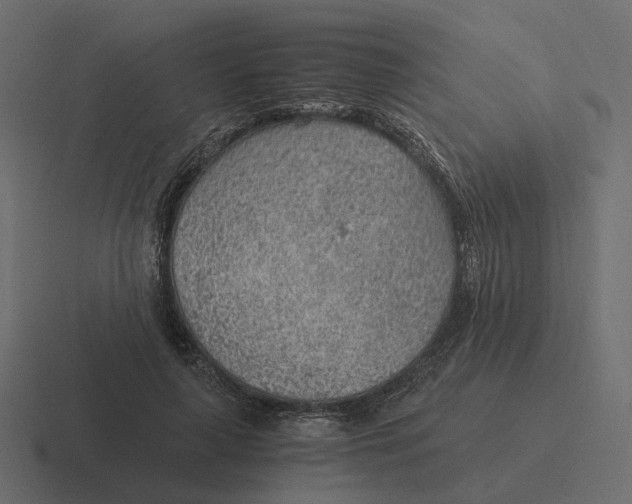 X0000116350643200912291632