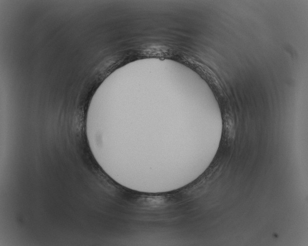 X0000116350665200912291632