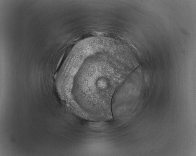 X0000116350671200912291633