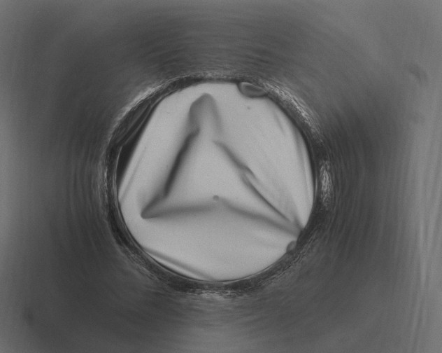 X0000116350684200912291632