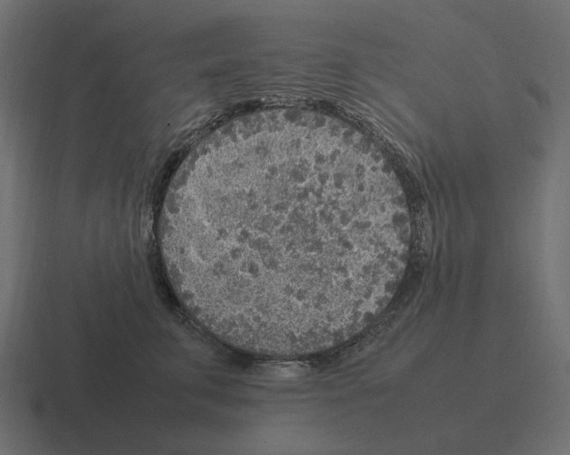 X0000116350711200912291631