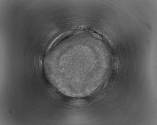 X0000116350716200912291631