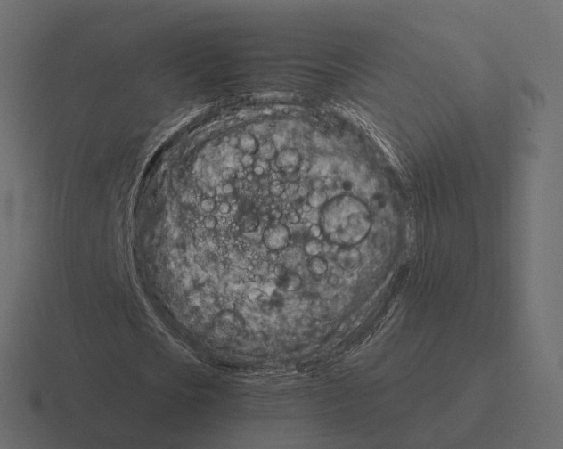 X0000116350721200912291631