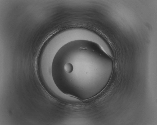 X0000116350725200912291631