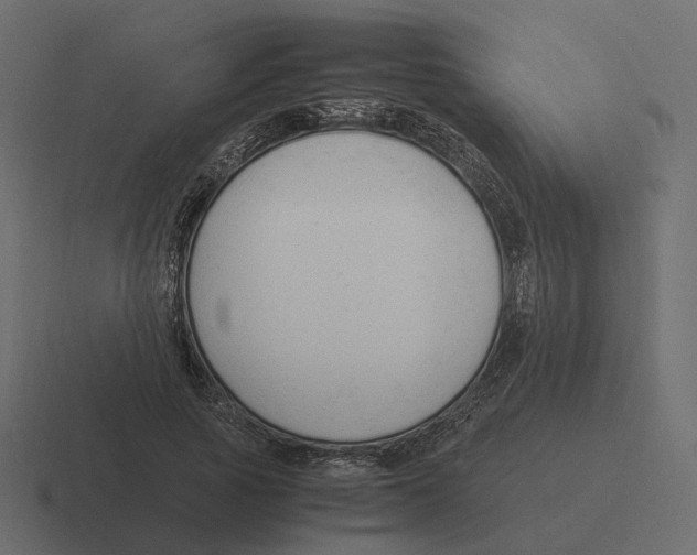 X0000116350737200912291631