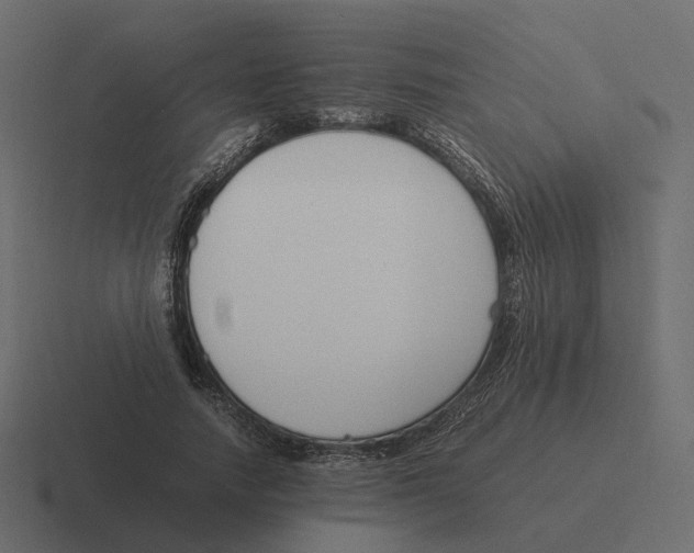 X0000116350738200912291631