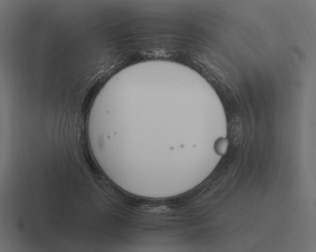 X0000116350747200912291631