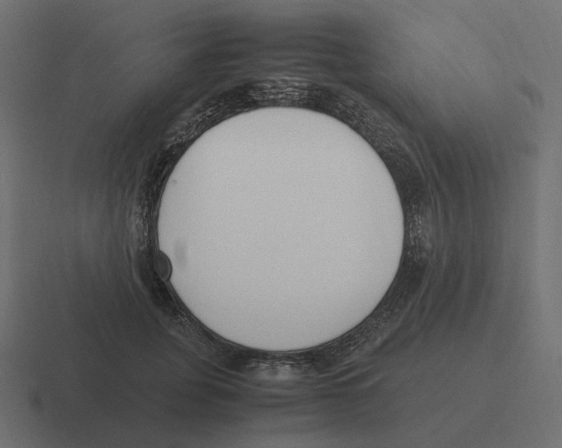 X0000116350751200912291631