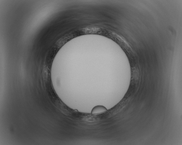 X0000116350761200912291631