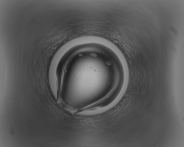X0000116350769200912291631