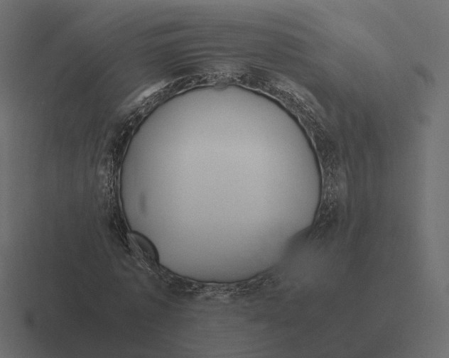 X0000116350773200912291631