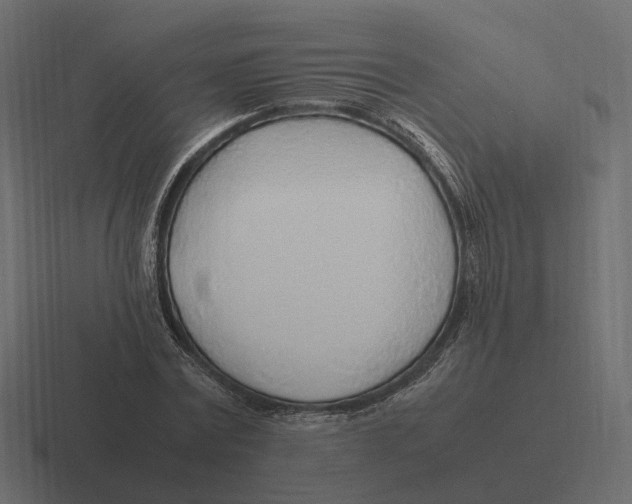 X0000116350779200912291631