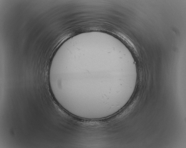 X0000116350801200912291630