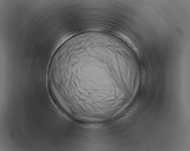 X0000116350802200912291630