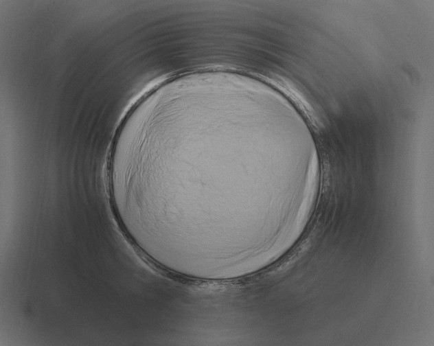 X0000116350806200912291630