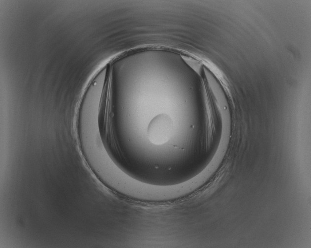 X0000116350807200912291630