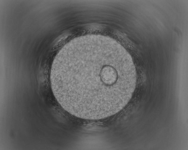 X0000116350824200912291630