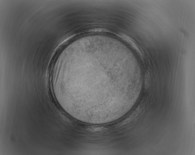 X0000116350831200912291630