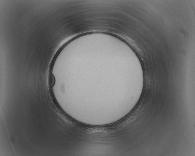 X0000116350846200912291630