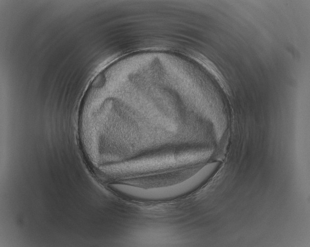 X0000116350850200912291630