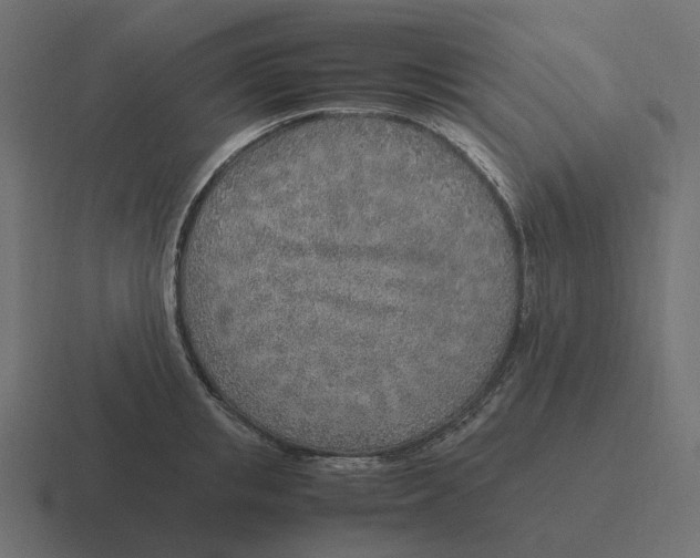 X0000116350853200912291630