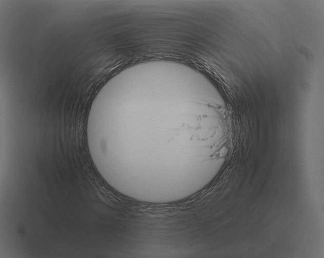 X0000116350868200912291629