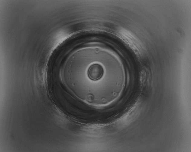 X0000116350877200912291629