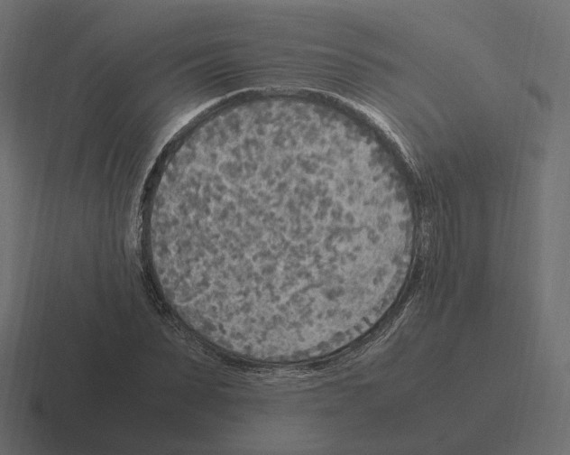 X0000116350879200912291629