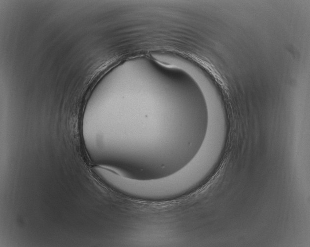 X0000116350881200912291629