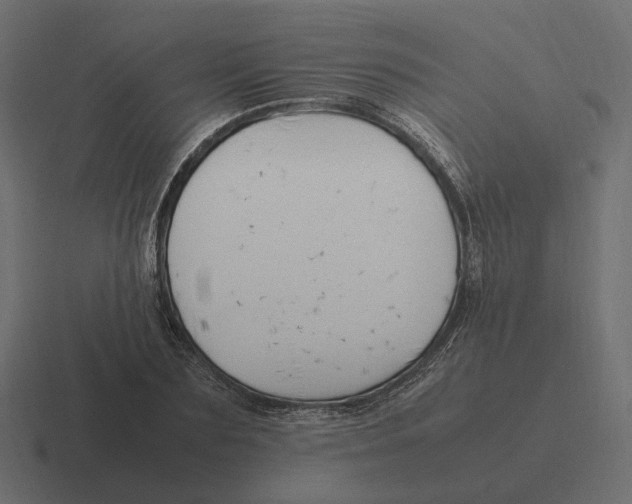 X0000116350883200912291629