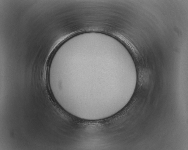 X0000116350886200912291629
