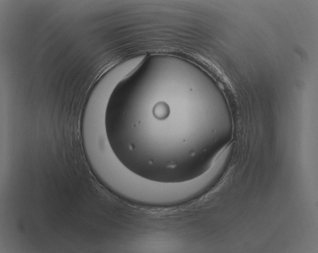 X0000116350889200912291629