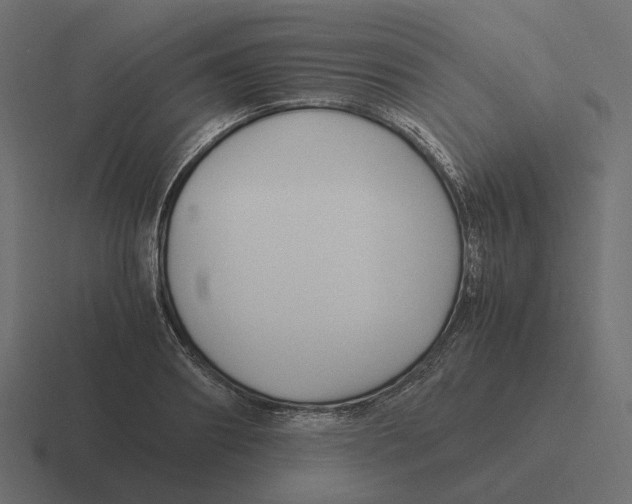 X0000116350890200912291629