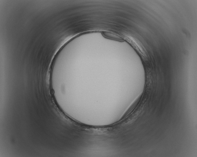 X0000116350900200912291629