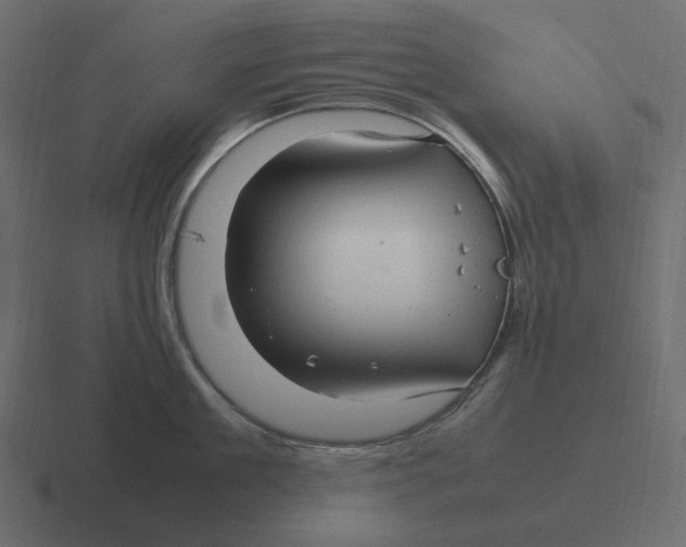 X0000116350909200912291629