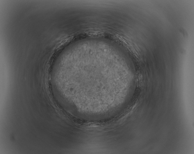 X0000116350913200912291628