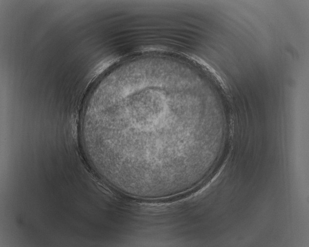 X0000116350921200912291628