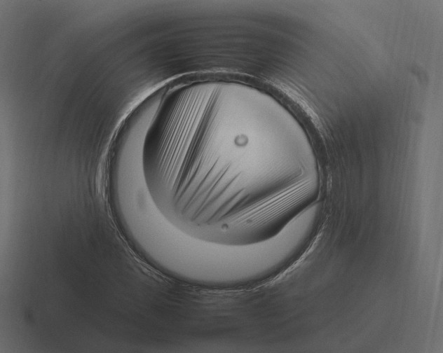 X0000116350925200912291628