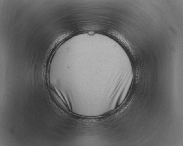 X0000116350930200912291629