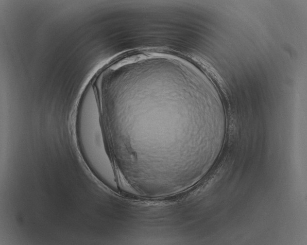 X0000116350941200912291629