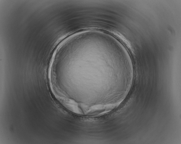 X0000116350945200912291629