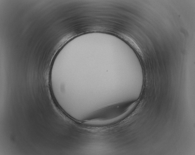 X0000116350946200912291629