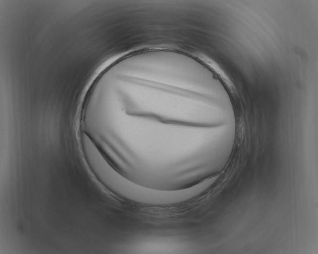 X0000116350959200912291629