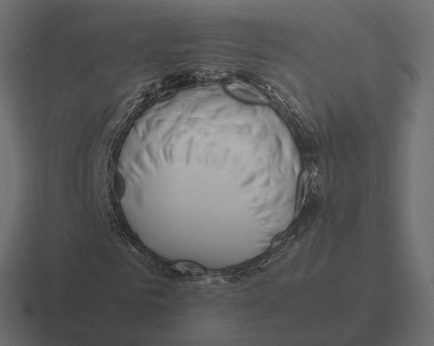X0000116350961200912291628