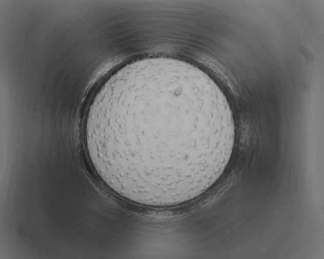 X0000116350978200912291628