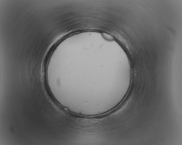 X0000116350981200912291628