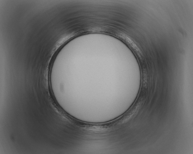 X0000116350986200912291628