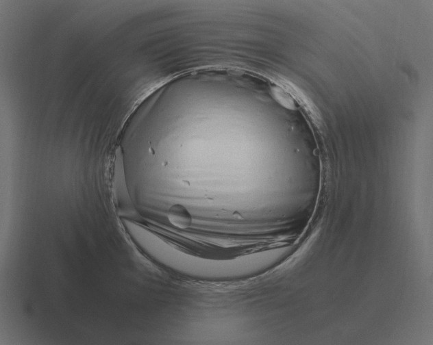 X0000116351001200912291628