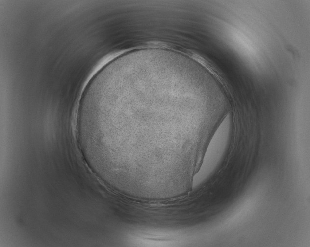 X0000116351052200912291628